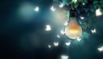 La pollution lumineuse