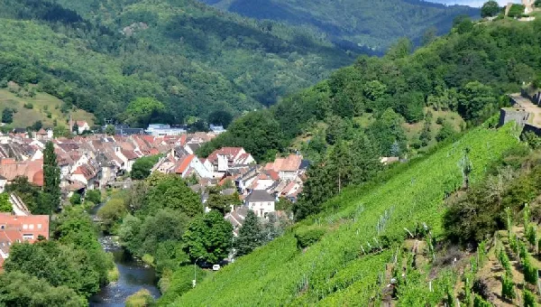 L'Alsace : l'enquête