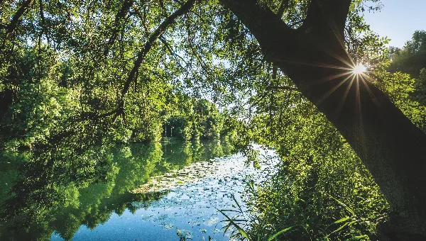 Parlez-nous de votre Charente !