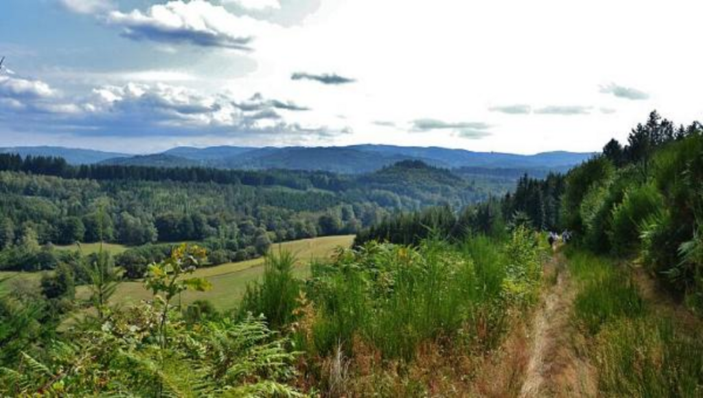 La Haute-Vienne : l'enquête