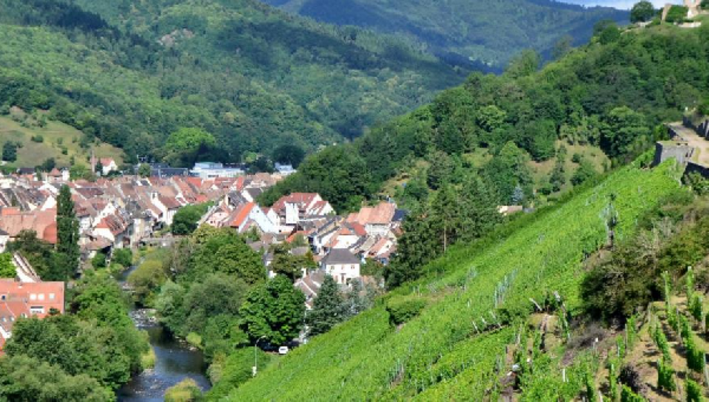 L'Alsace : l'enquête