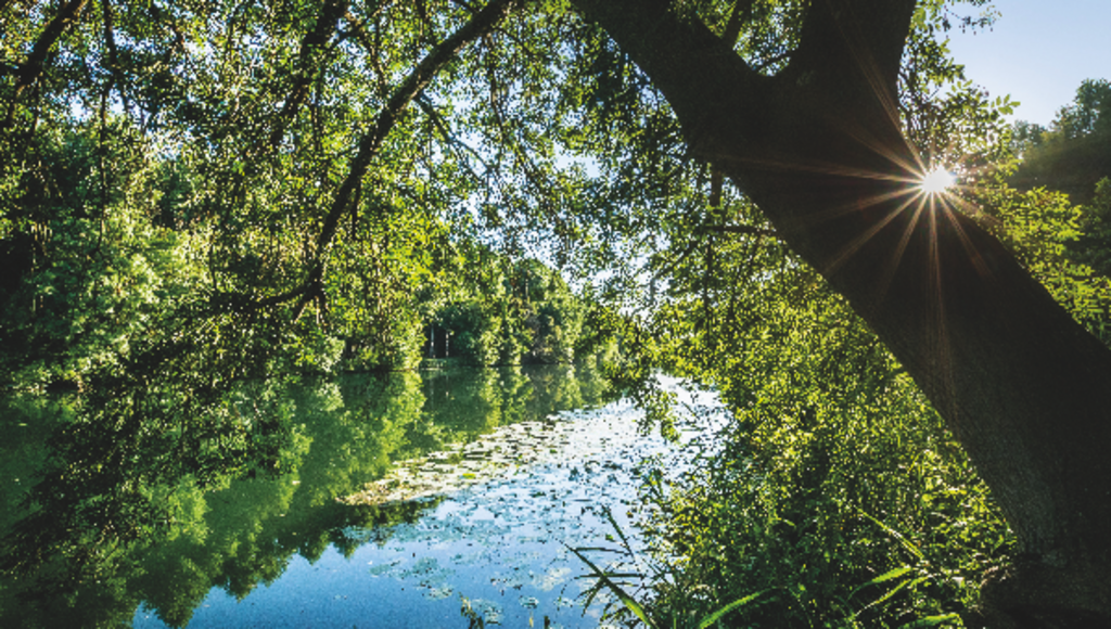 Parlez-nous de votre Charente !