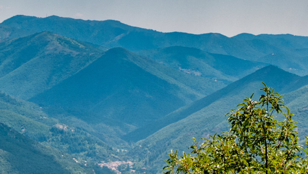 La Lozère : l'enquête