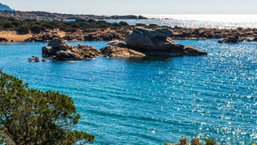 La Corse du Sud : l'enquête