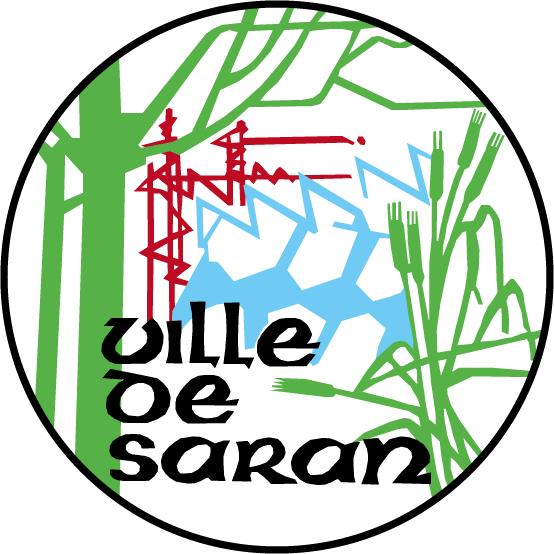 Saran
